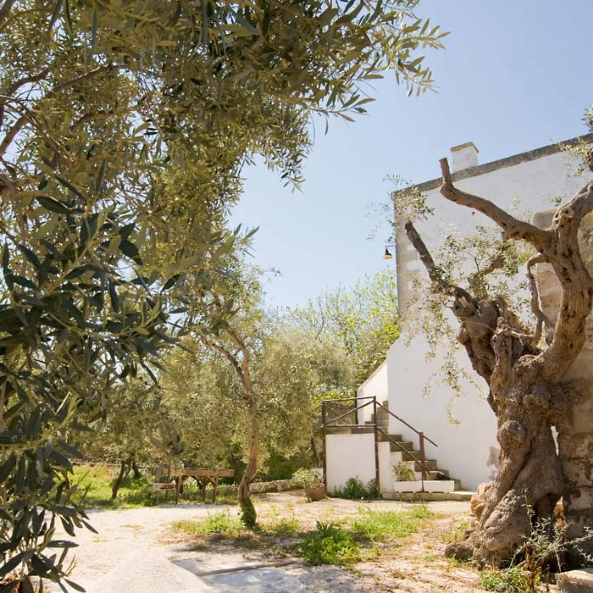 masseria spina wedding accommodation