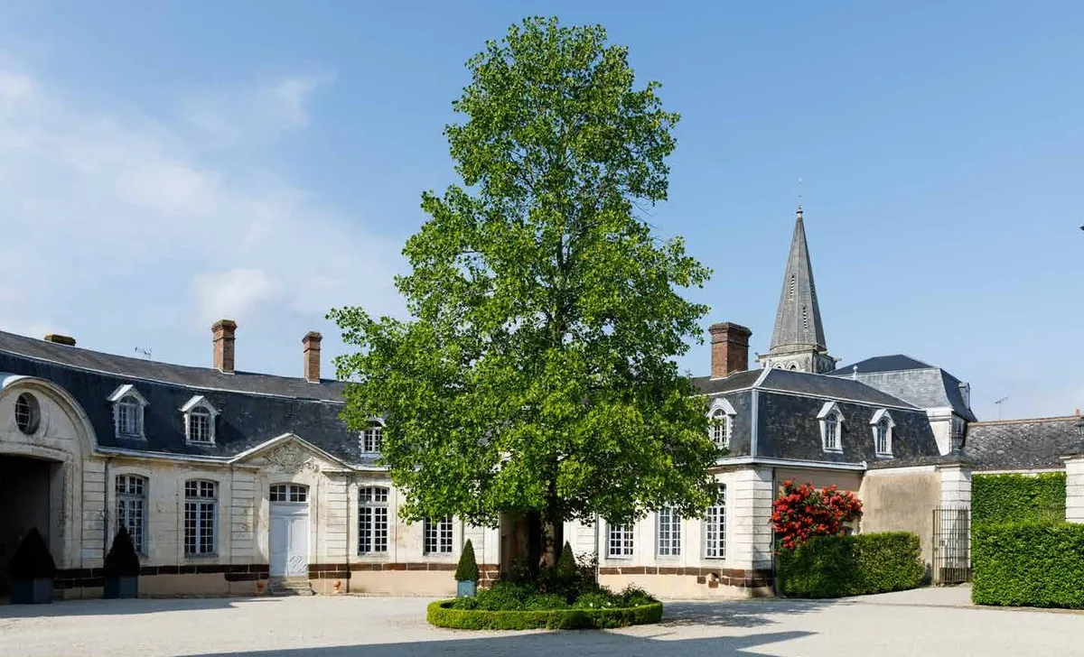 chateau de grand luce