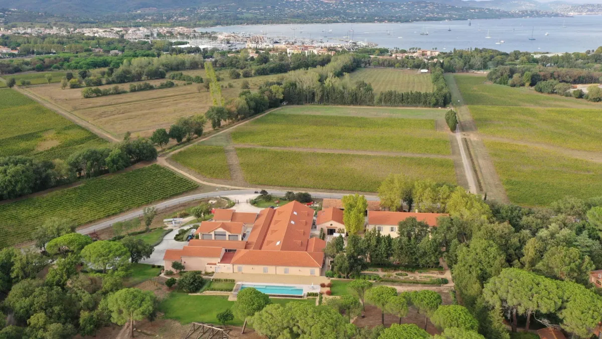 Vineyard for Saint Tropez wedding
