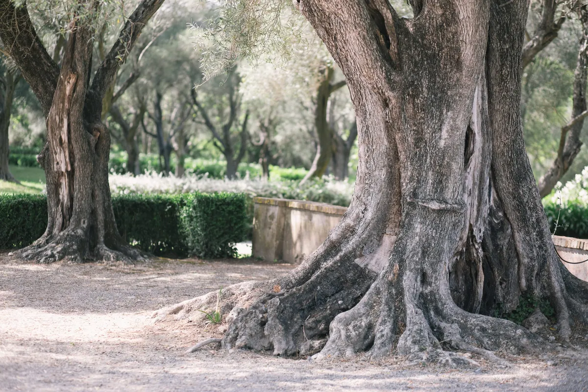 bastide du roy wedding cost