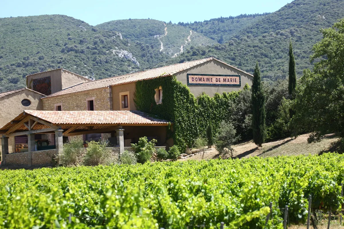 wedding at la bastide de marie