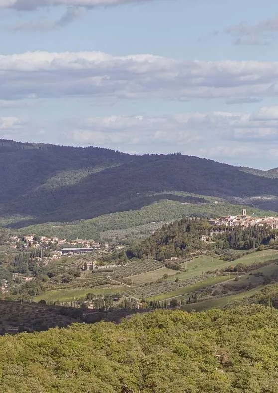 Borgo Vescine Chianti wedding