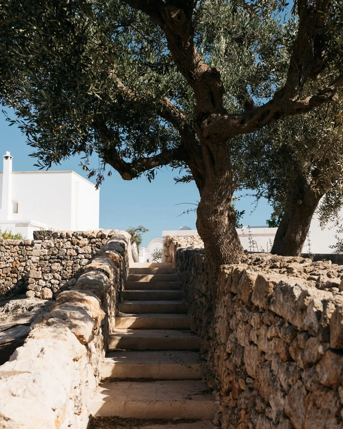 masseria calderisi savelletri