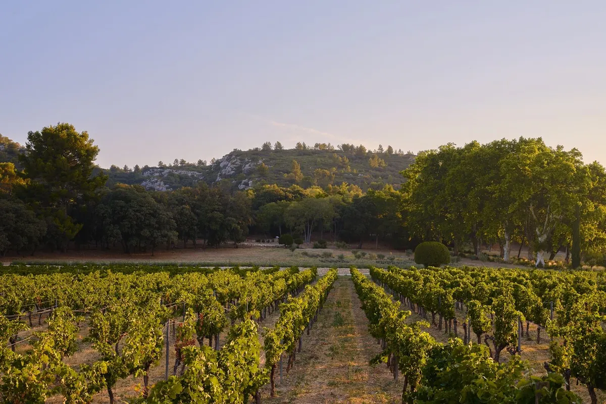 chateau d'estoublon wedding provence