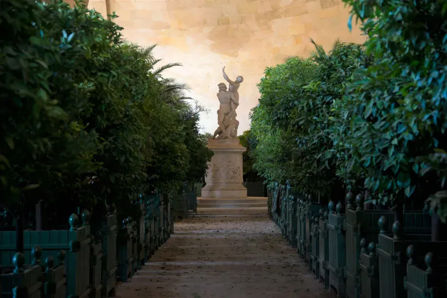 Palace of Versailles wedding venue the Orangery wintering its orange trees