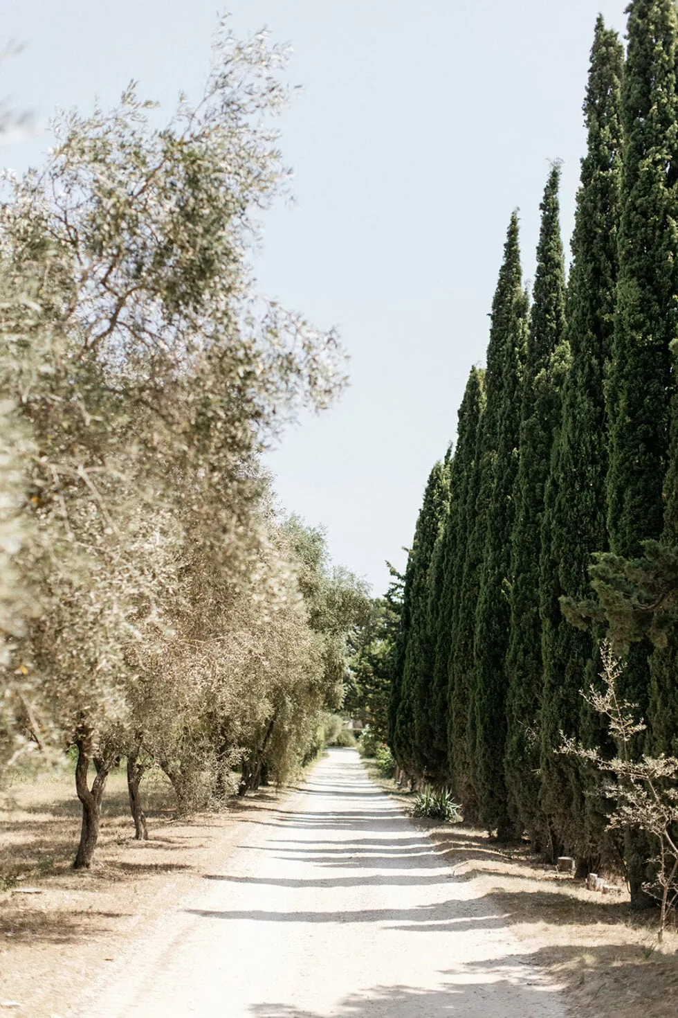 mas d'arvieux alpilles wedding
