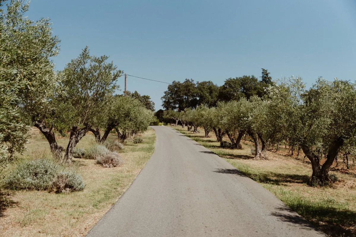 Provence France wedding