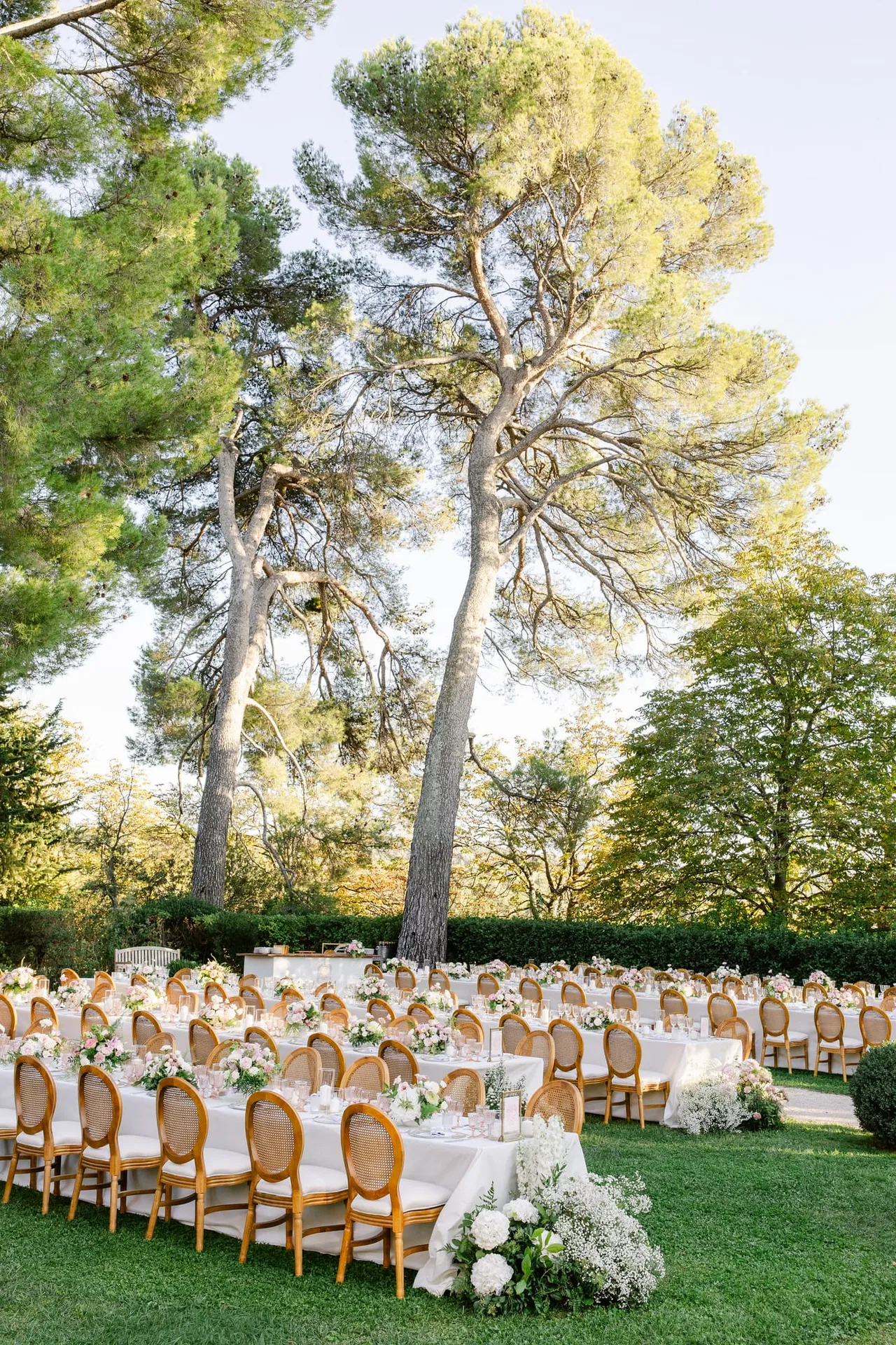 Magic Day Gallery photo