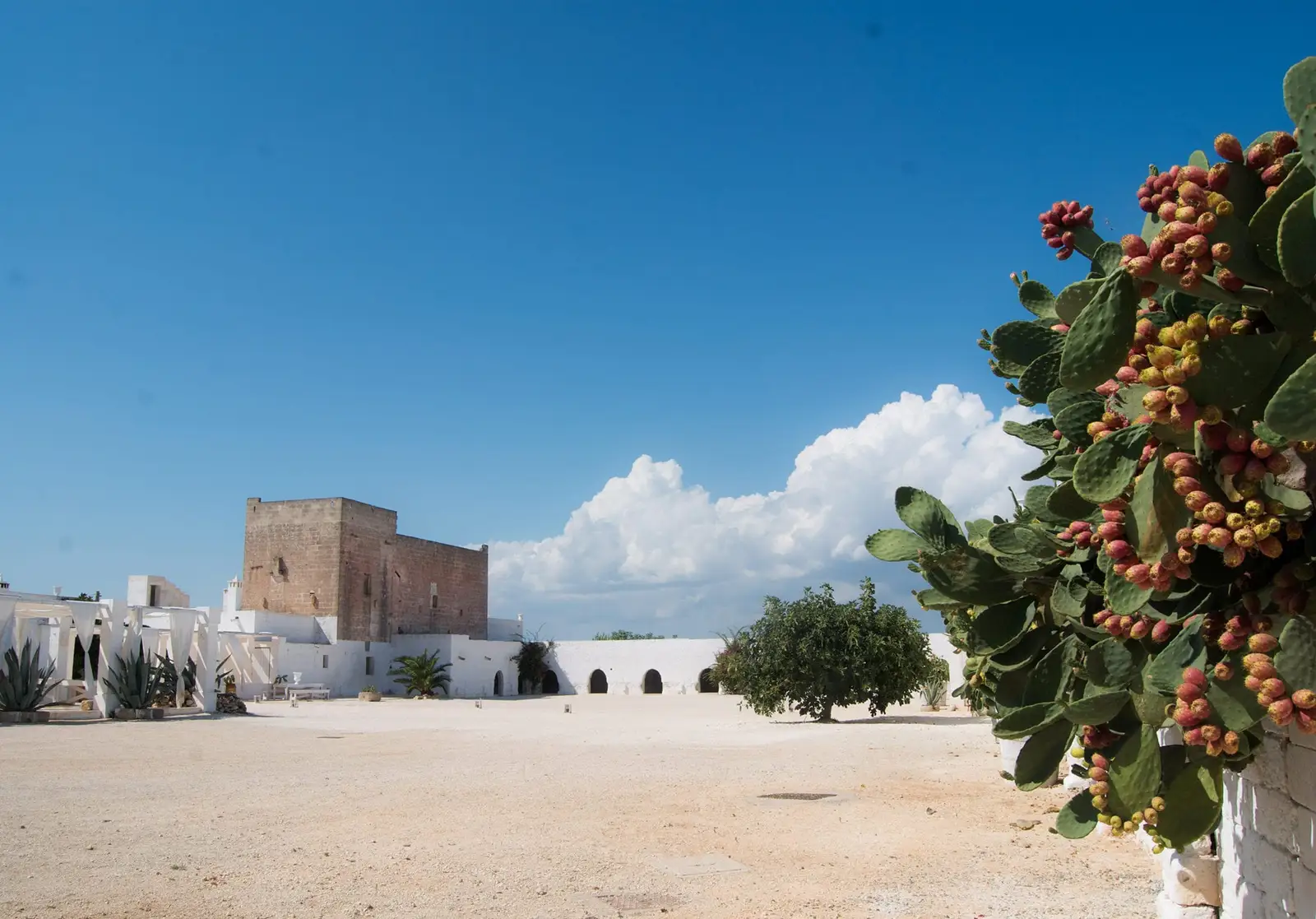 masseria potenti wedding