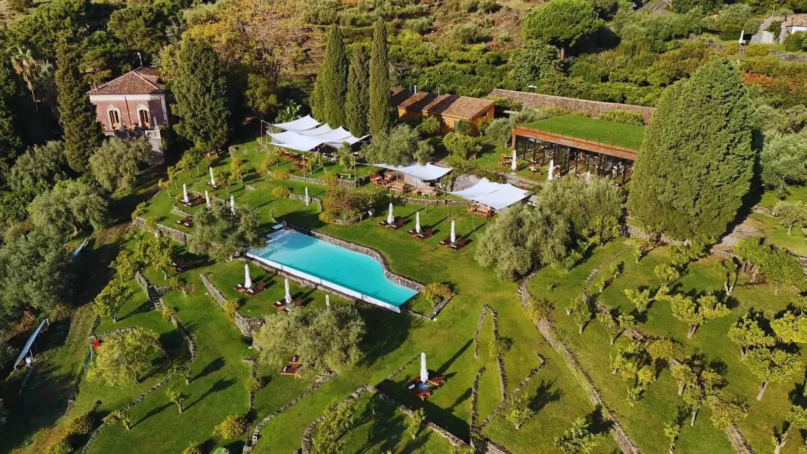 monaci delle terre nere wedding